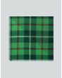 Galloway Hunting Tartan